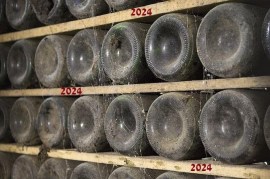 2024
